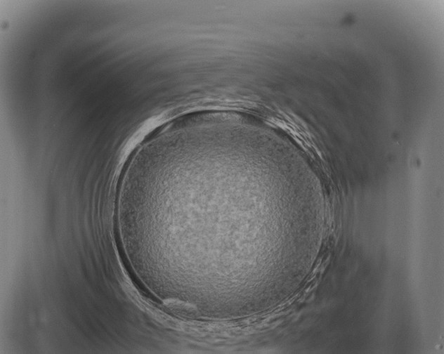 X0000083640003200702201420
