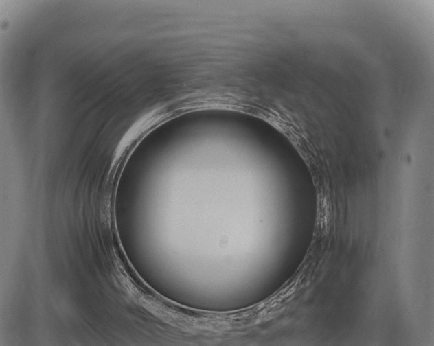 X0000083640004200702201420