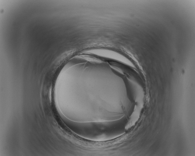 X0000083640019200702201420