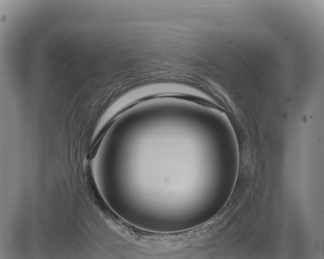 X0000083640025200702201420
