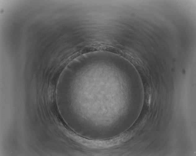 X0000083640034200702201420