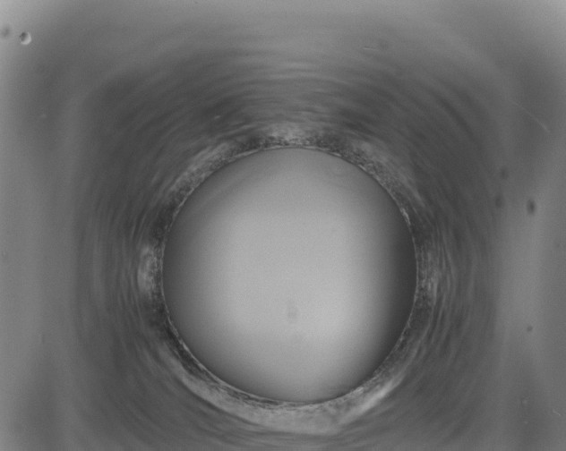 X0000083640036200702201420