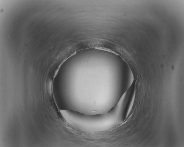 X0000083640041200702201419