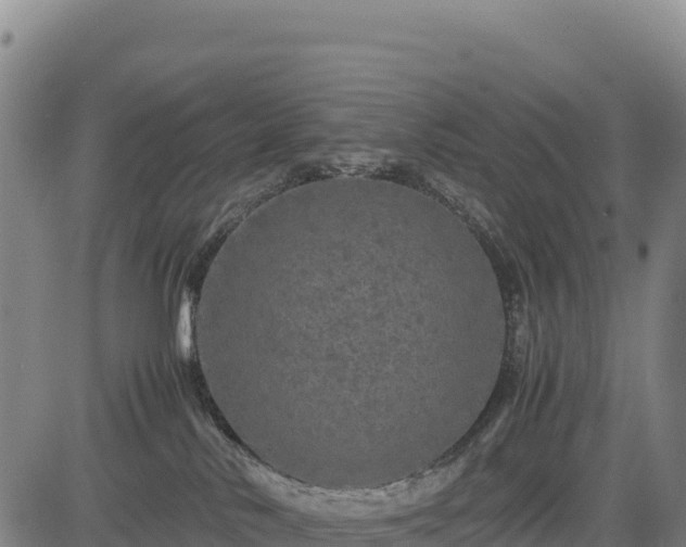 X0000083640042200702201419