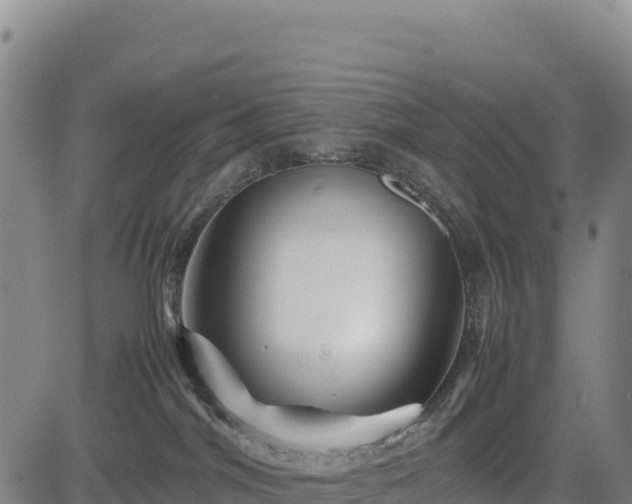 X0000083640044200702201419