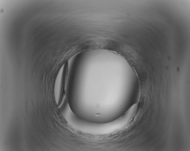 X0000083640045200702201419
