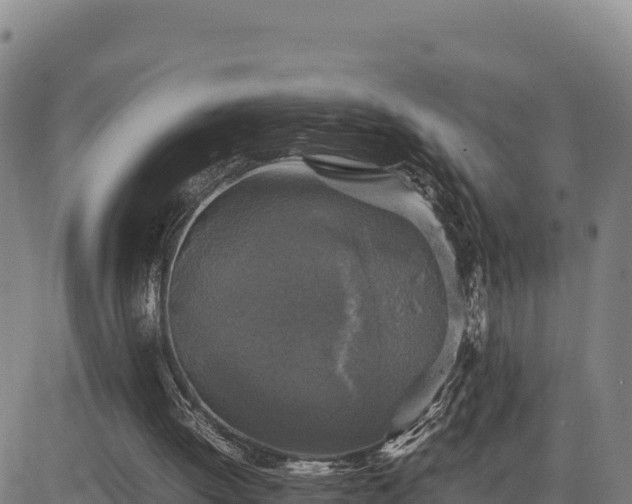 X0000083640052200702201419