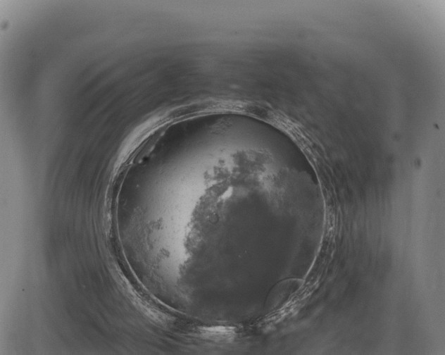 X0000083640053200702201419
