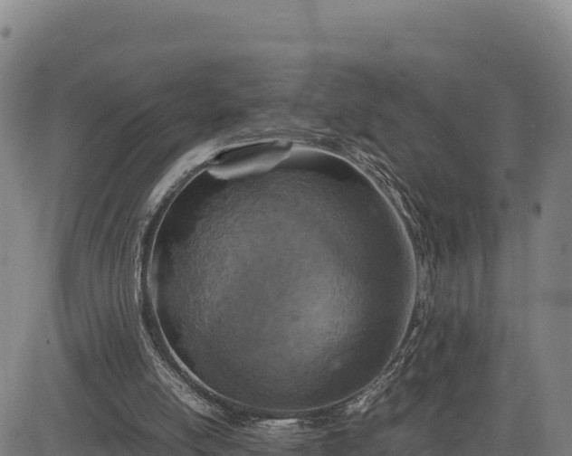 X0000083640054200702201419