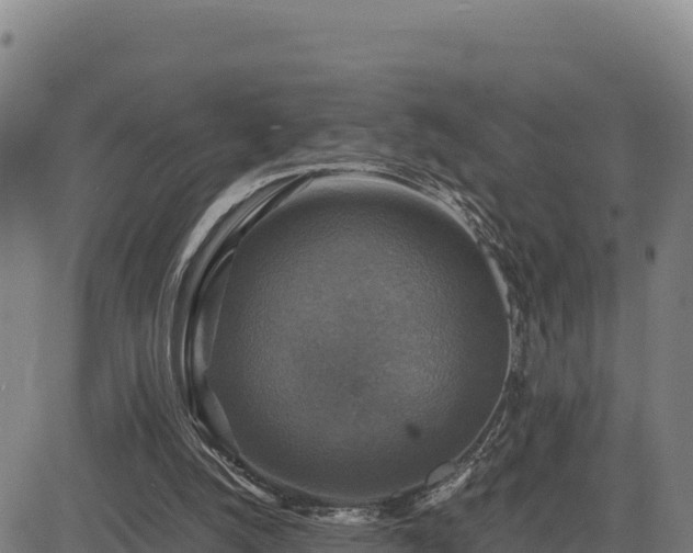 X0000083640056200702201419