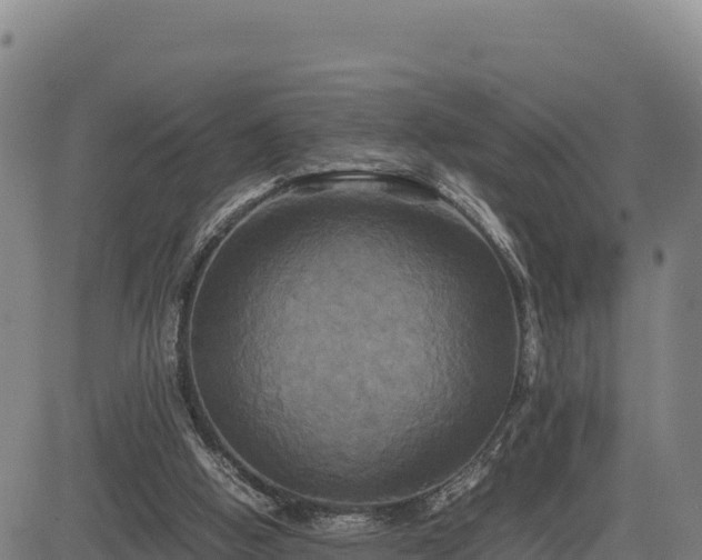 X0000083640058200702201419