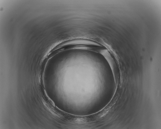 X0000083640060200702201419