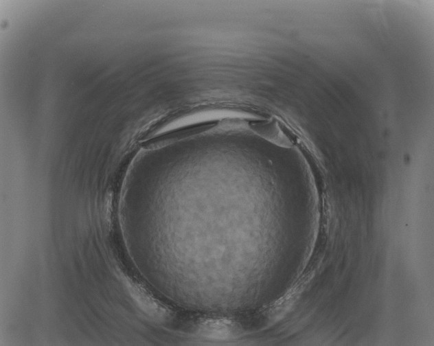 X0000083640066200702201419