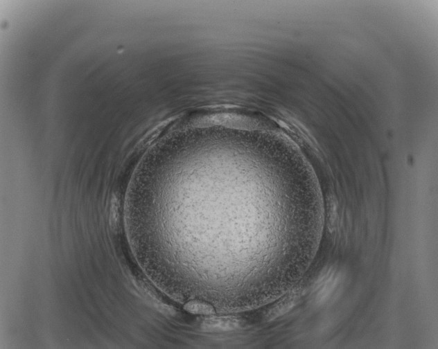 X0000083640077200702201419