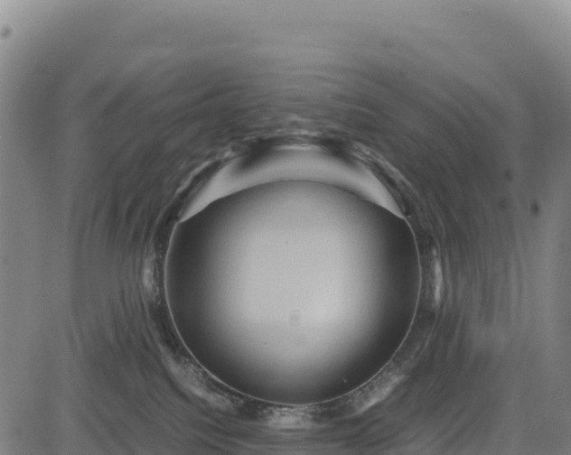 X0000083640088200702201419