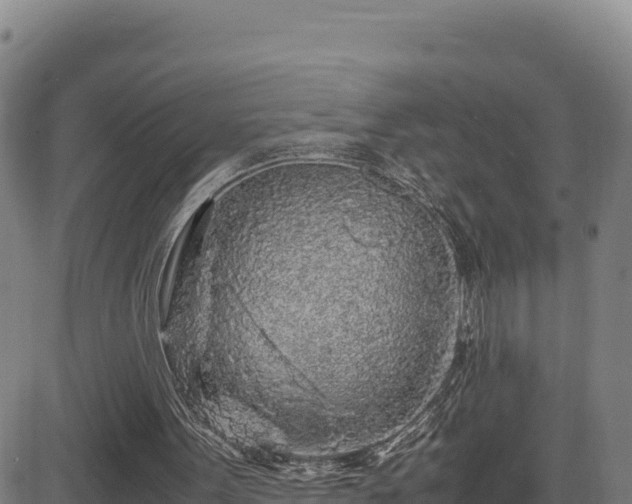 X0000083640099200702201419