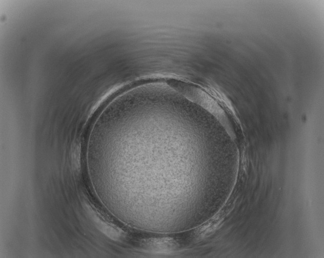X0000083640108200702201418