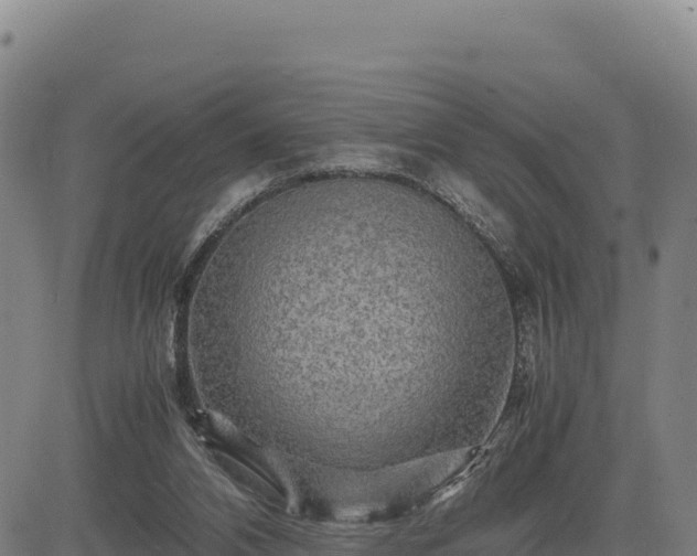 X0000083640112200702201418