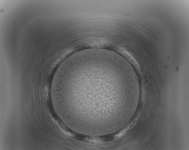 X0000083640113200702201418