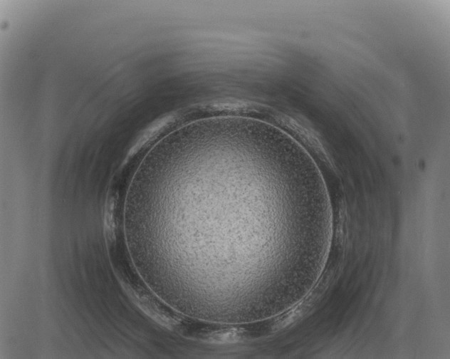 X0000083640116200702201418