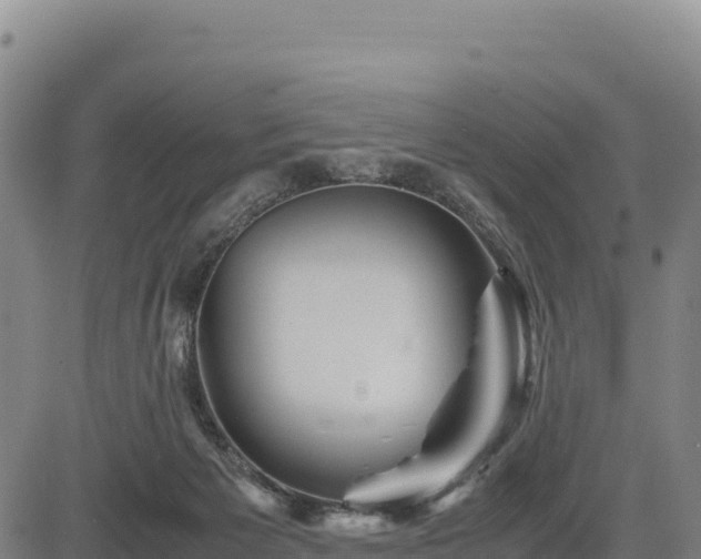X0000083640125200702201418