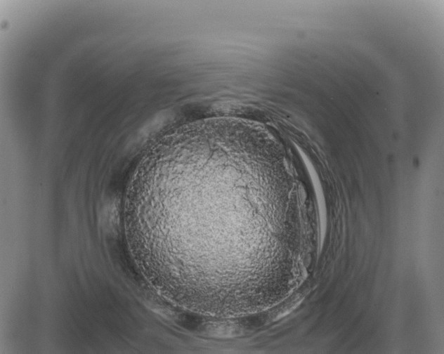 X0000083640127200702201418