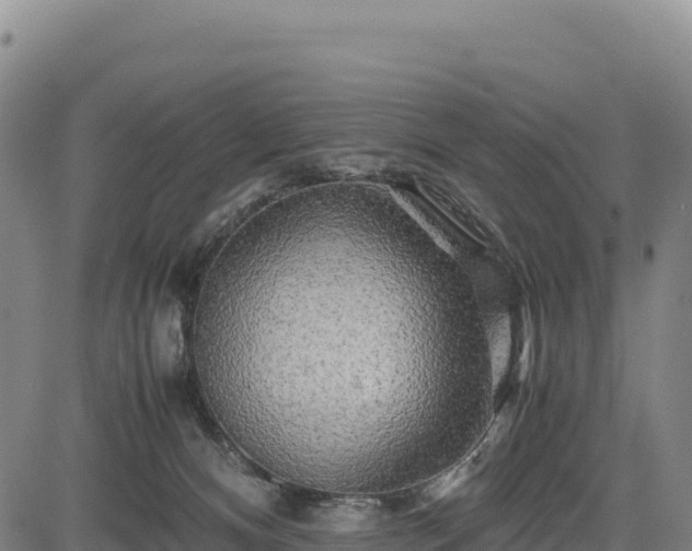X0000083640128200702201418