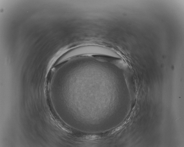 X0000083640152200702201417