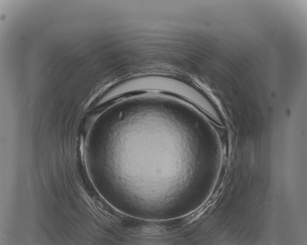 X0000083640154200702201417