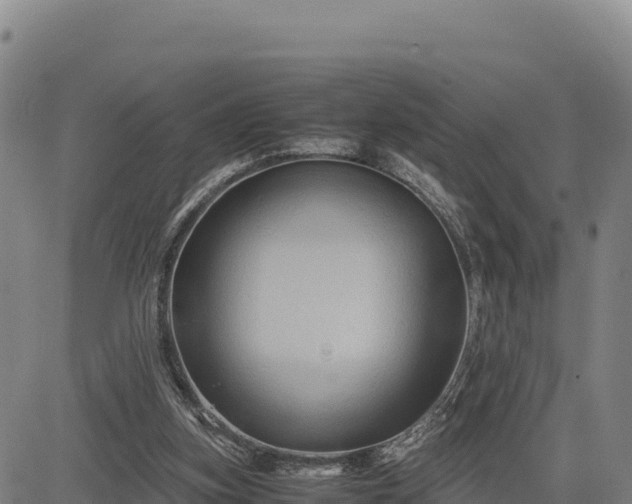 X0000083640155200702201417