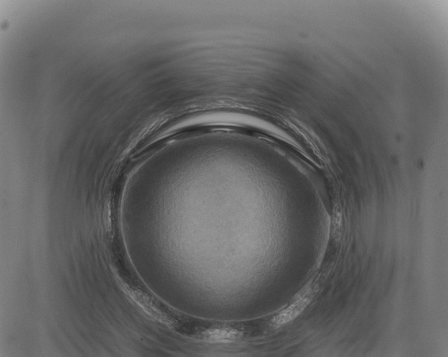 X0000083640158200702201417