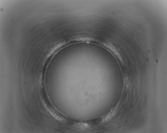 X0000083640159200702201417