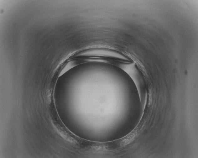 X0000083640160200702201417
