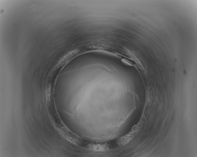 X0000083640163200702201417