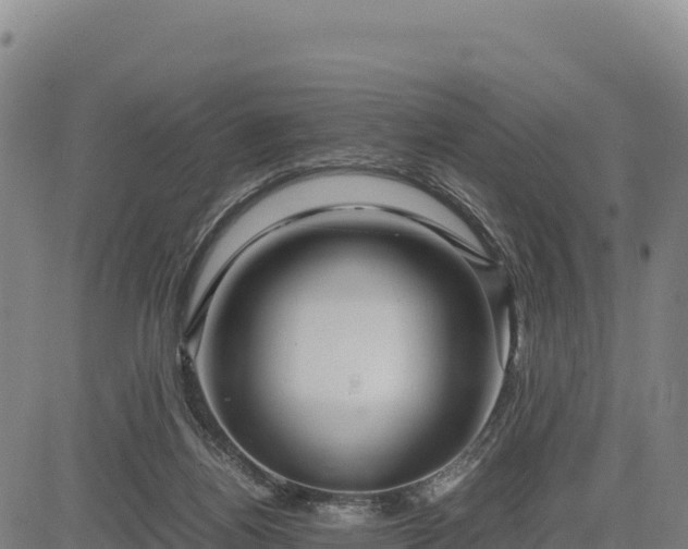 X0000083640164200702201417