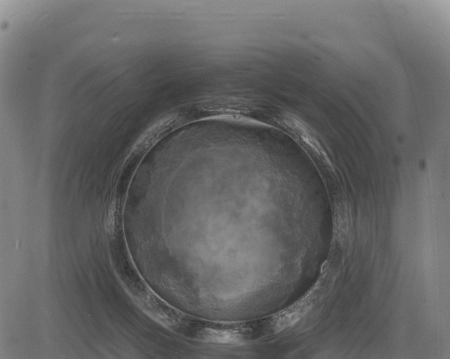 X0000083640167200702201417