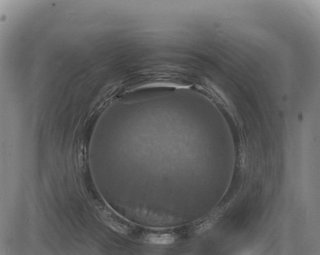 X0000083640169200702201417