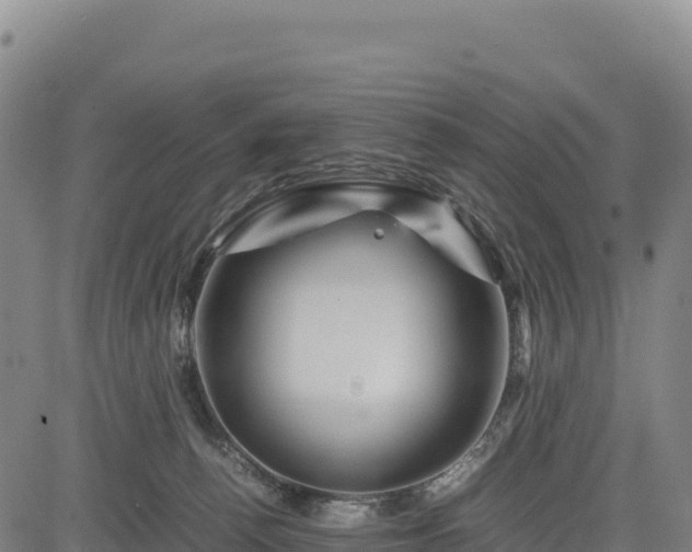 X0000083640176200702201417
