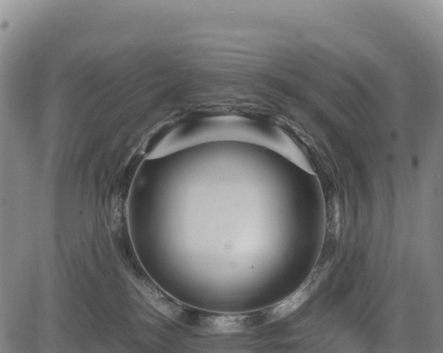 X0000083640184200702201418