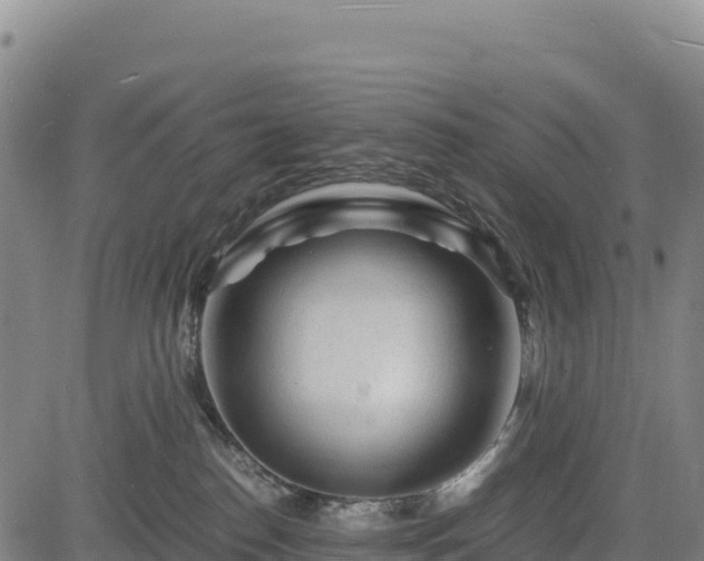 X0000083640186200702201418
