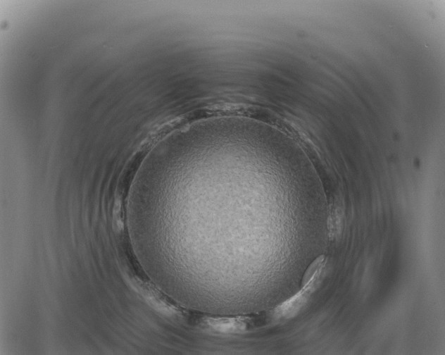 X0000083640187200702201418