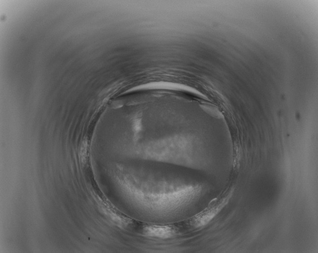 X0000083640189200702201418