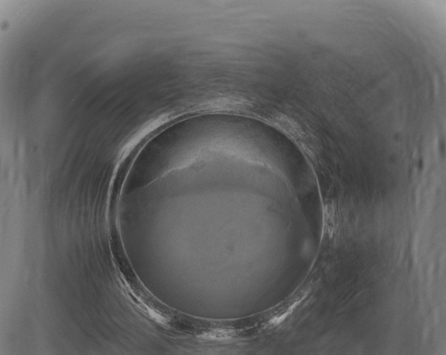 X0000083640196200702201417