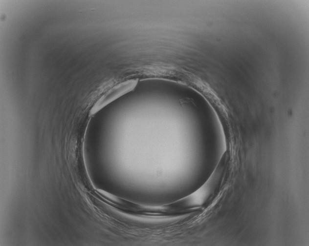 X0000083640201200702201417