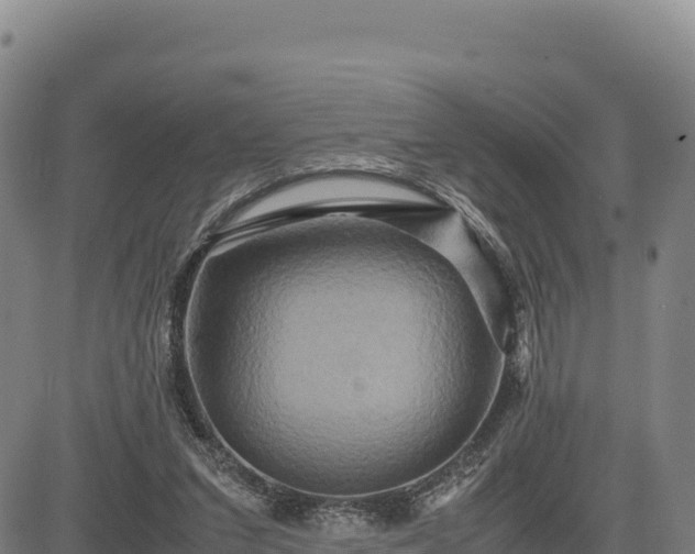 X0000083640207200702201417