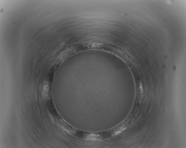 X0000083640222200702201416