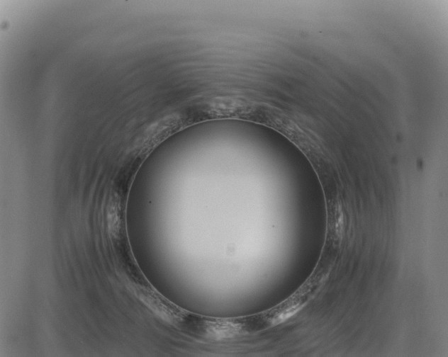 X0000083640226200702201416