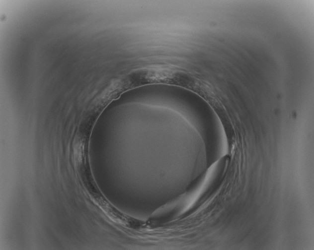 X0000083640227200702201416