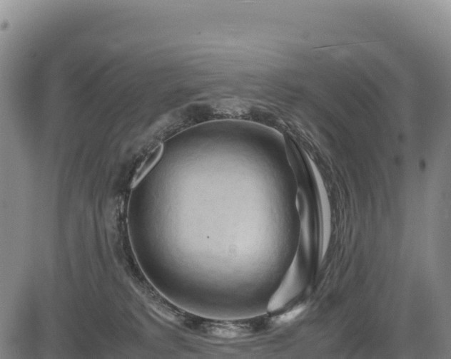X0000083640229200702201416