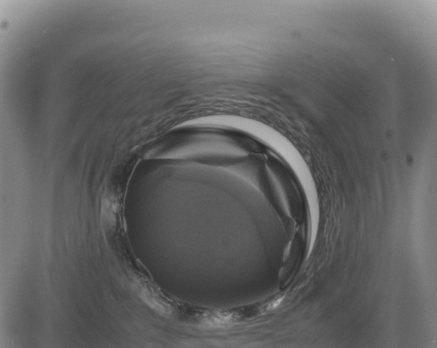 X0000083640235200702201416